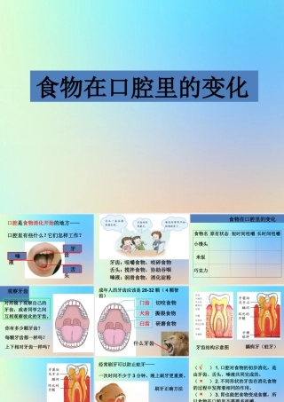四年级科学上册 我们的身体 6食物在口腔里的变化课件 教科版-教科版小学四年级上册自然科学课件