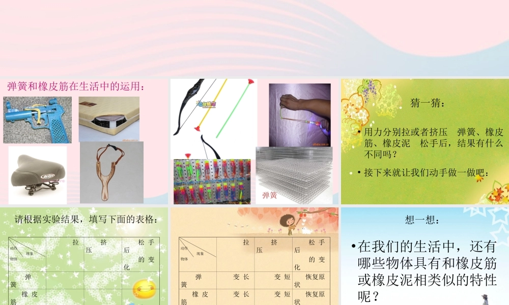 四年级科学下册 4.2《弹簧和橡皮筋》课件3 湘教版-湘教版小学四年级下册自然科学课件