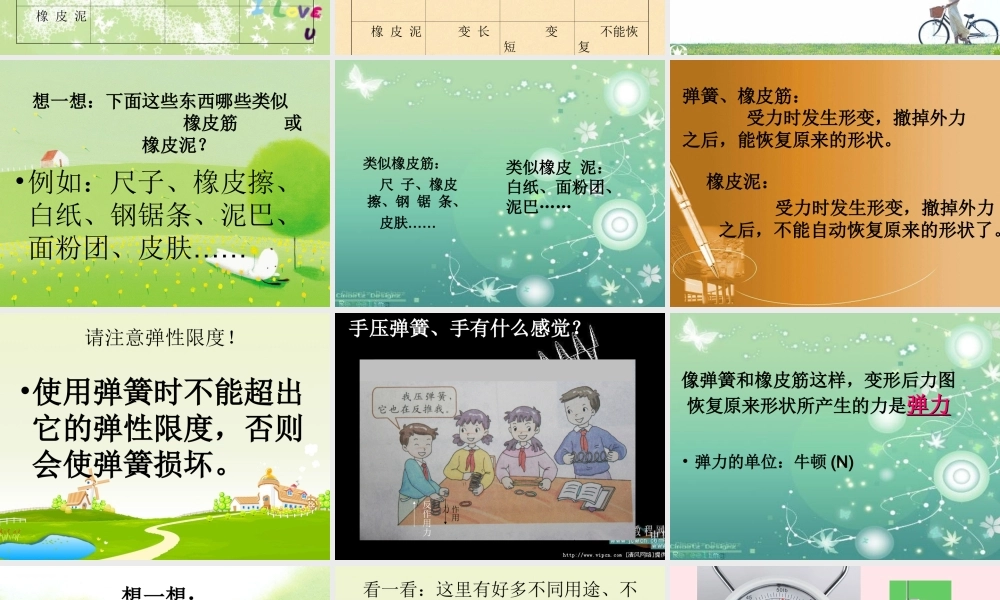 四年级科学下册 4.2《弹簧和橡皮筋》课件3 湘教版-湘教版小学四年级下册自然科学课件
