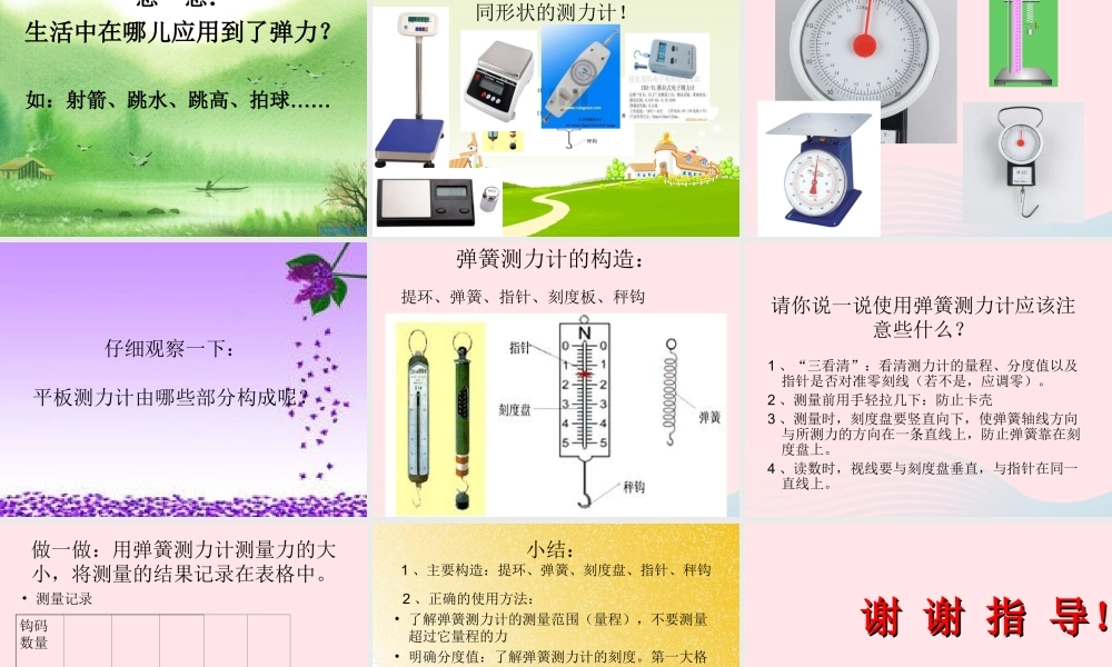 四年级科学下册 4.2《弹簧和橡皮筋》课件3 湘教版-湘教版小学四年级下册自然科学课件