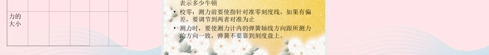 四年级科学下册 4.2《弹簧和橡皮筋》课件3 湘教版-湘教版小学四年级下册自然科学课件