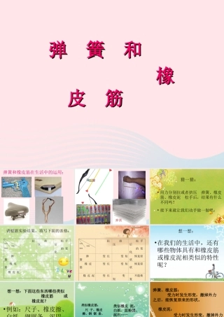 四年级科学下册 4.2《弹簧和橡皮筋》课件3 湘教版-湘教版小学四年级下册自然科学课件