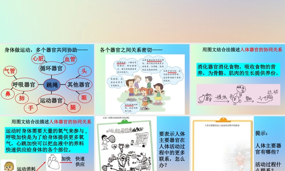 四年级科学上册 我们的身体 7相互协作的人体器官课件 教科版-教科版小学四年级上册自然科学课件