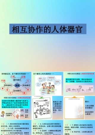四年级科学上册 我们的身体 7相互协作的人体器官课件 教科版-教科版小学四年级上册自然科学课件