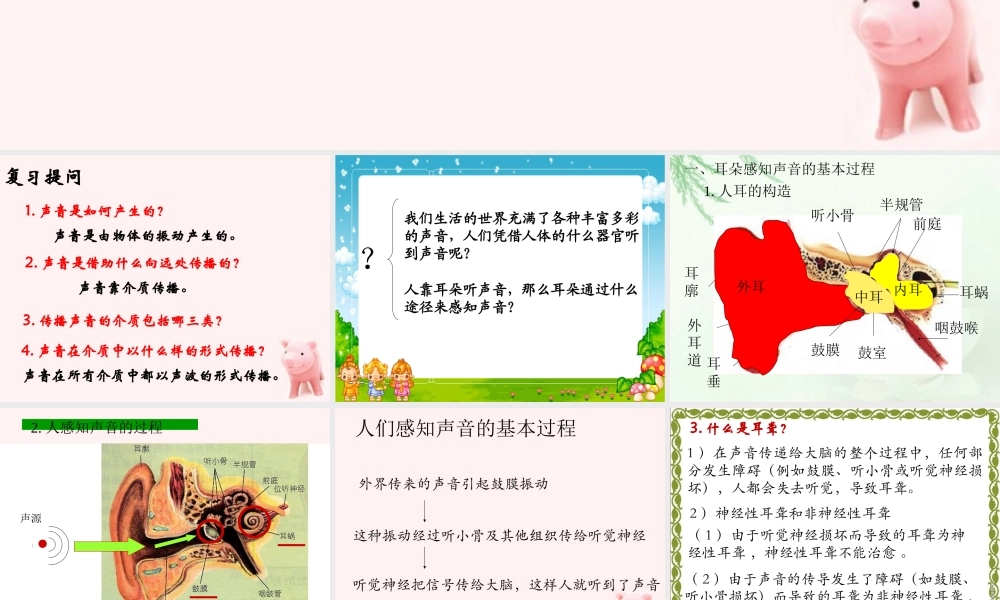 四年级科学上册 我们是怎样听到声音的课件 教科版