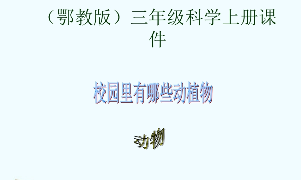 四年级科学上册 校园里有哪些动植物 2课件 鄂教版