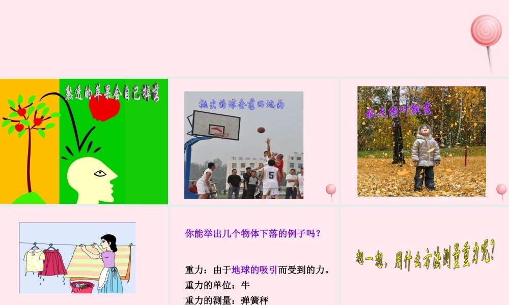 四年级科学下册 4.3苹果为什么会落地课件 苏教版-苏教版小学四年级下册自然科学课件