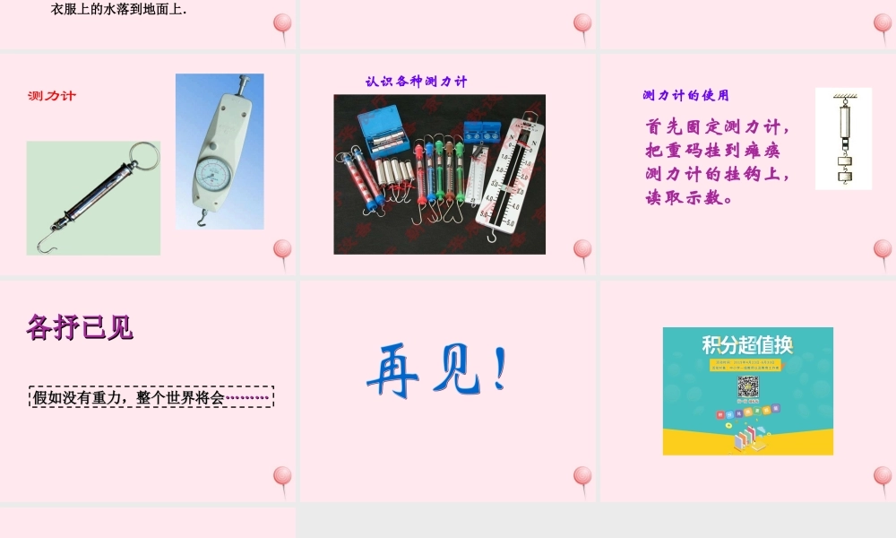 四年级科学下册 4.3苹果为什么会落地课件 苏教版-苏教版小学四年级下册自然科学课件