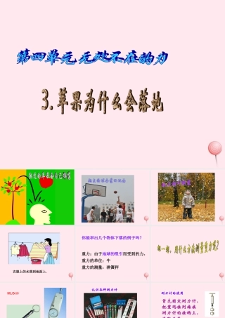 四年级科学下册 4.3苹果为什么会落地课件 苏教版-苏教版小学四年级下册自然科学课件