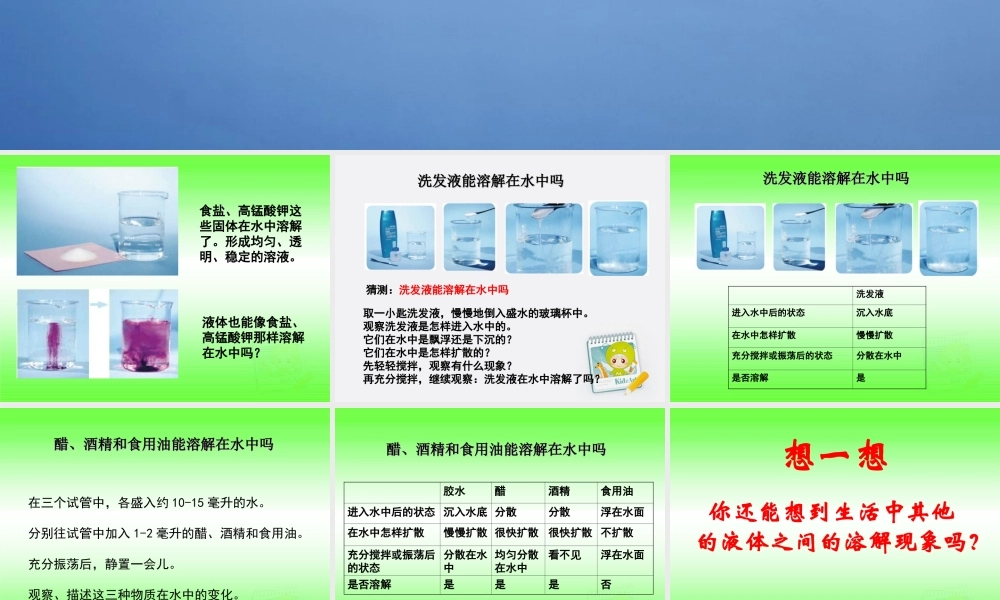 四年级科学上册 液体之间的溶解现象 1课件 教科版