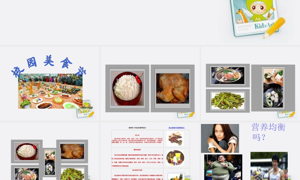 四年级科学上册 怎样搭配食物 1课件 苏教版