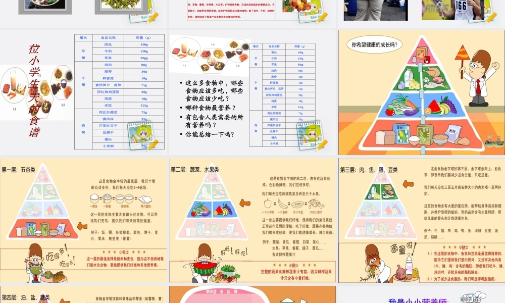 四年级科学上册 怎样搭配食物 1课件 苏教版