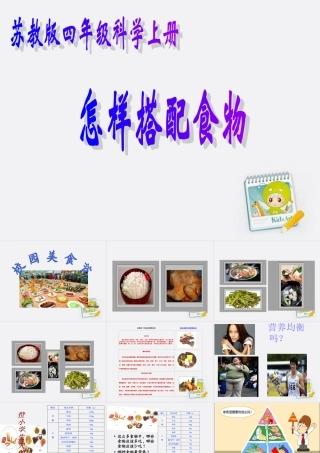 四年级科学上册 怎样搭配食物 1课件 苏教版