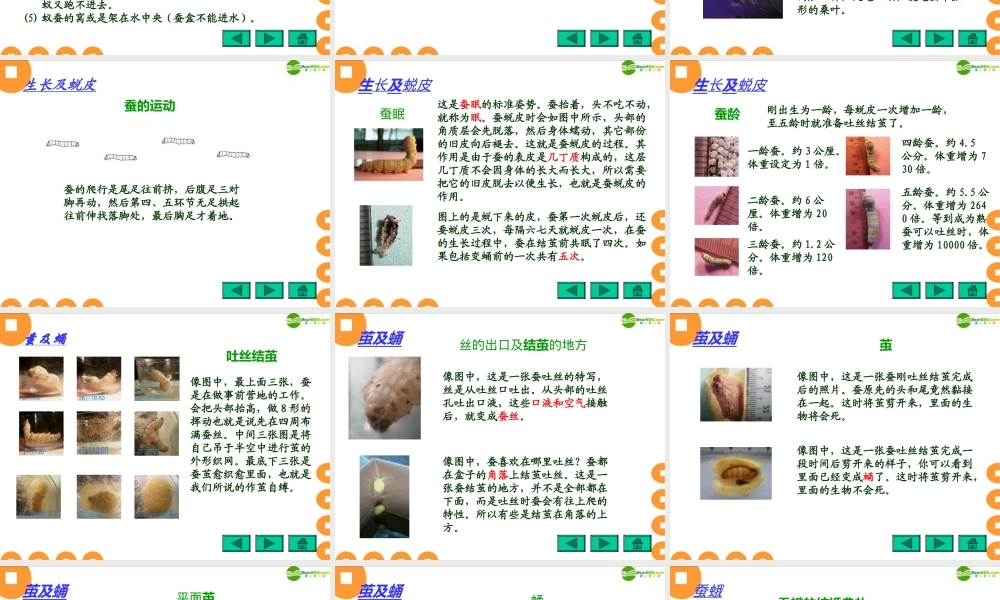 四年级科学下册 给蚕宝宝记日记拓展资料课件 苏教版