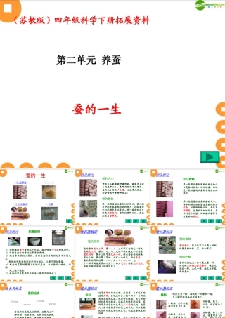 四年级科学下册 给蚕宝宝记日记拓展资料课件 苏教版