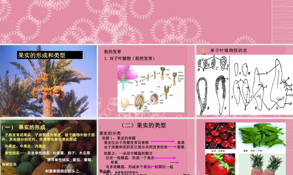 四年级科学下册 果实的形成 3课件 首师大版