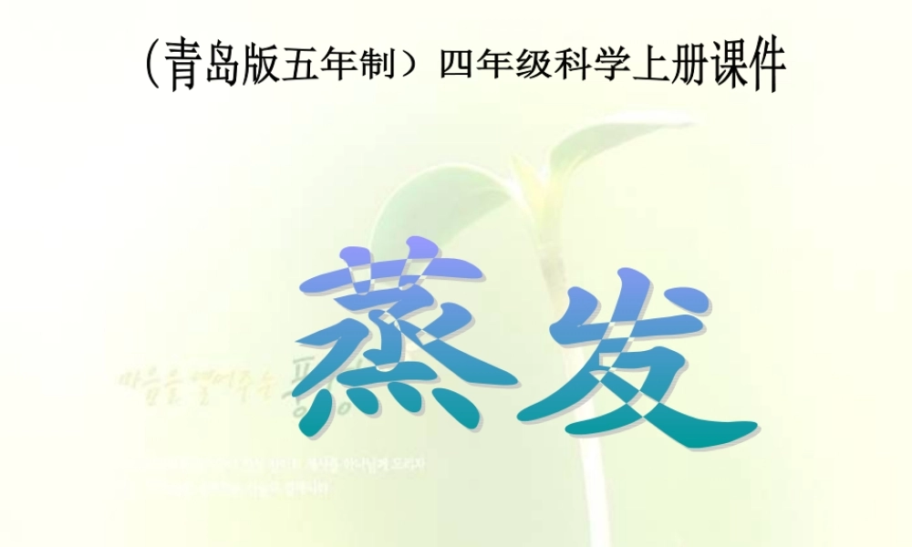 四年级科学上册 蒸发 4课件 青岛版五年制