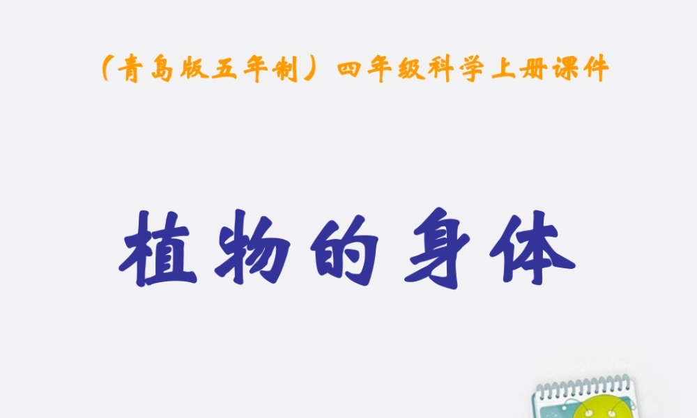 四年级科学上册 植物的身体 1课件 青岛版五年制