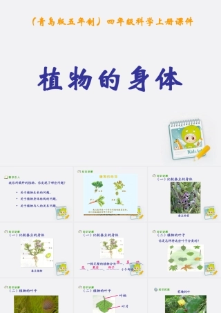 四年级科学上册 植物的身体 1课件 青岛版五年制