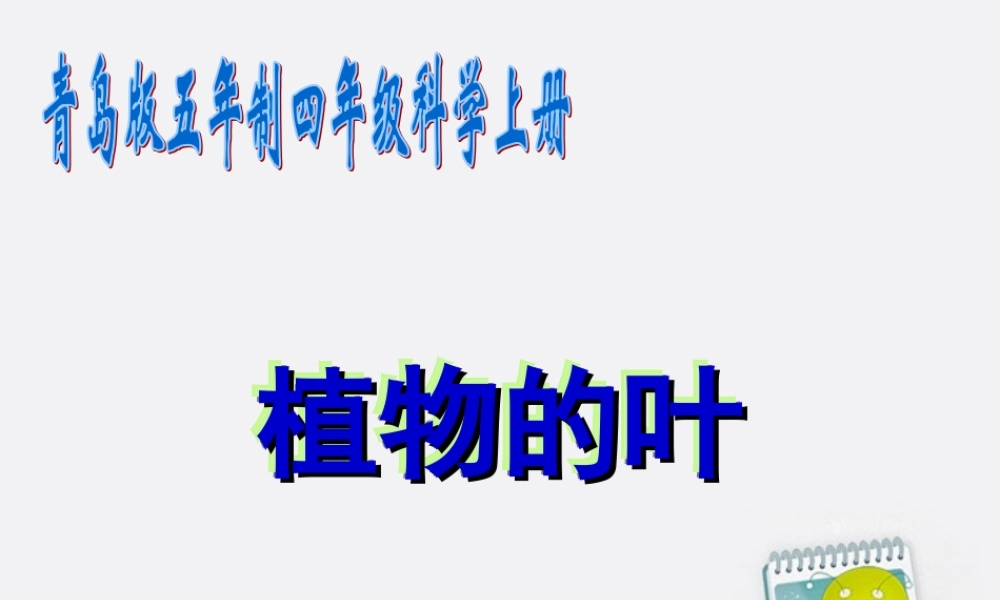 四年级科学上册 植物的叶 4课件 青岛版五年制