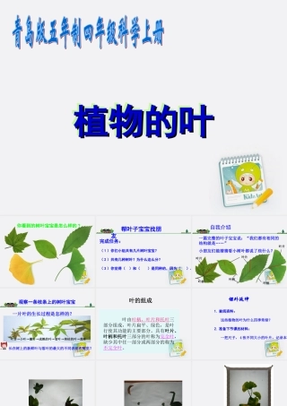 四年级科学上册 植物的叶 4课件 青岛版五年制