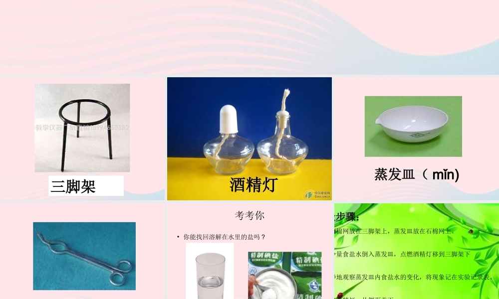 四年级科学下册 5.1《变来变去的盐》课件1 湘教版-湘教版小学四年级下册自然科学课件