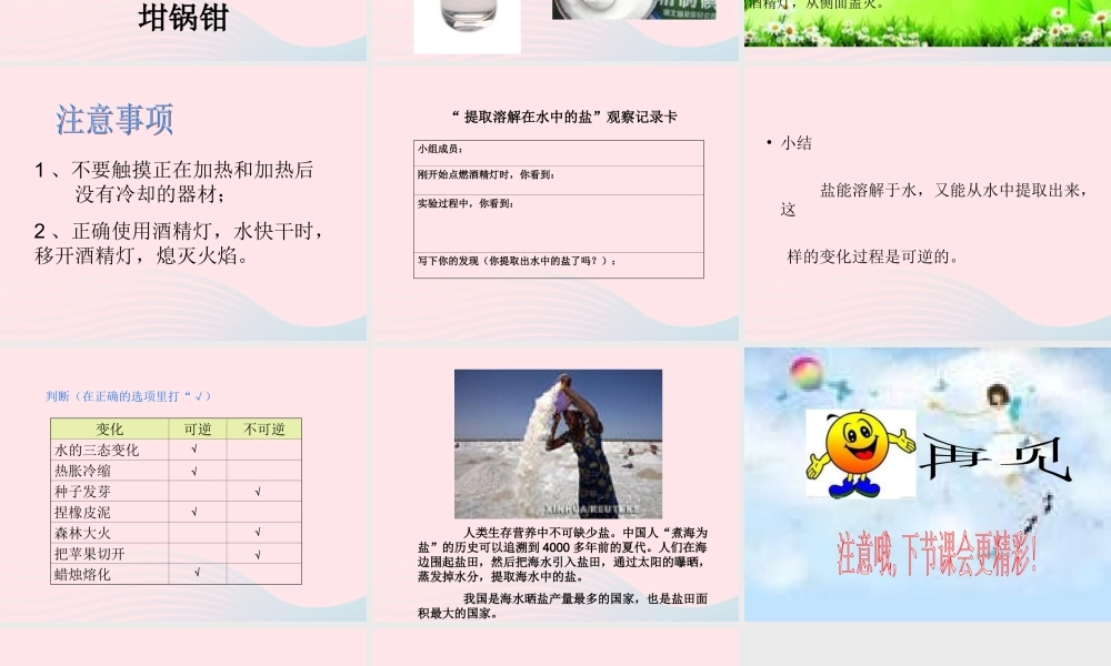 四年级科学下册 5.1《变来变去的盐》课件1 湘教版-湘教版小学四年级下册自然科学课件