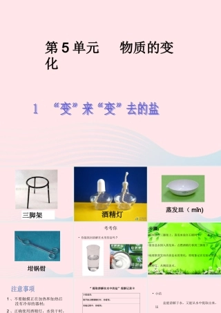 四年级科学下册 5.1《变来变去的盐》课件1 湘教版-湘教版小学四年级下册自然科学课件