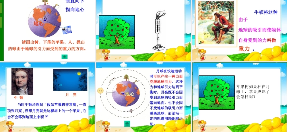 四年级科学下册 苹果为什么会落地2课件 苏教版