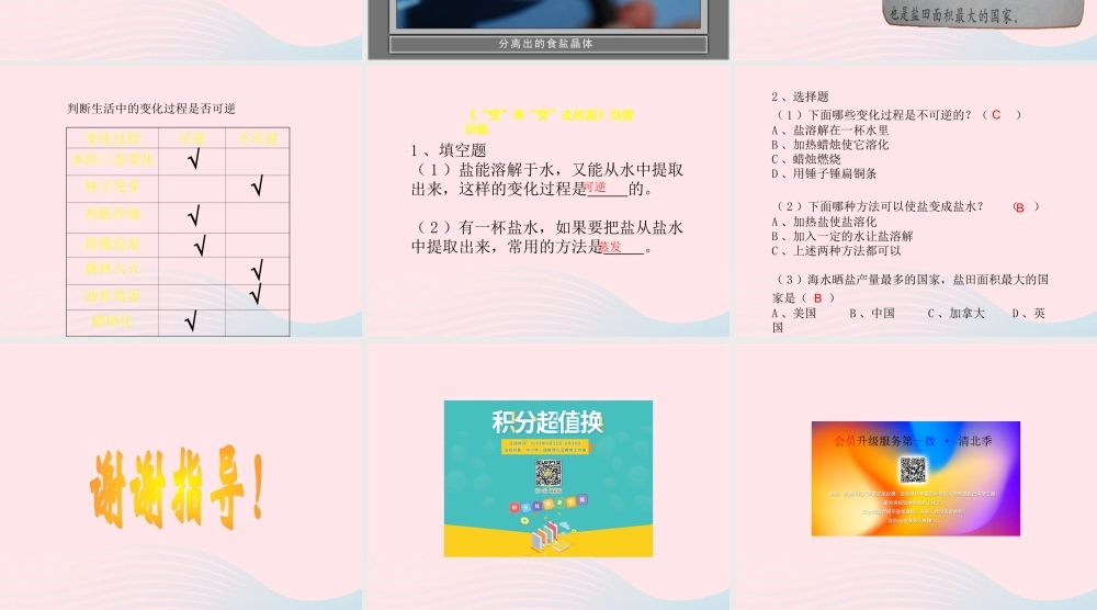 四年级科学下册 5.1《变来变去的盐》课件2 湘教版-湘教版小学四年级下册自然科学课件