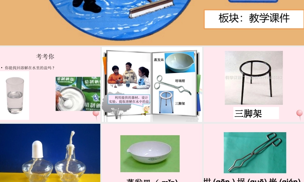 四年级科学下册 5.1《变来变去的盐》课件3 湘教版-湘教版小学四年级下册自然科学课件