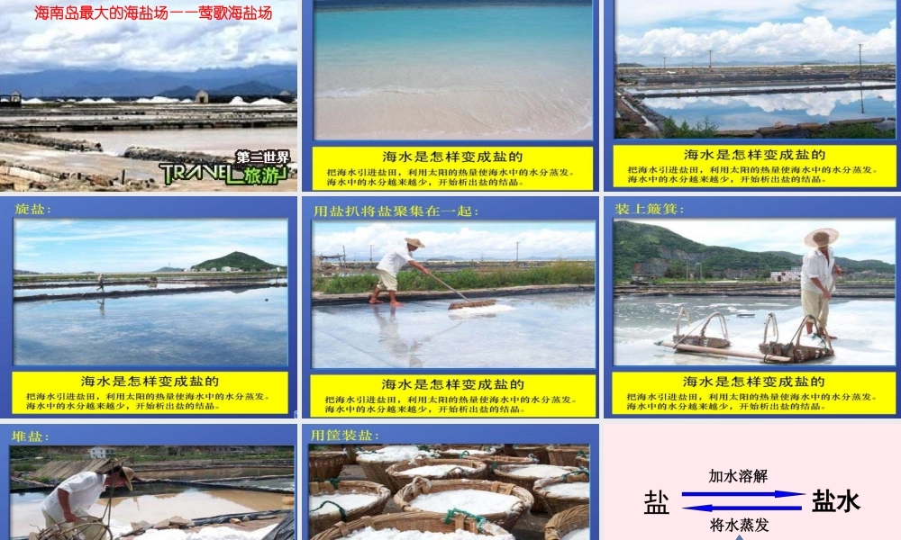 四年级科学下册 5.1《变来变去的盐》课件3 湘教版-湘教版小学四年级下册自然科学课件