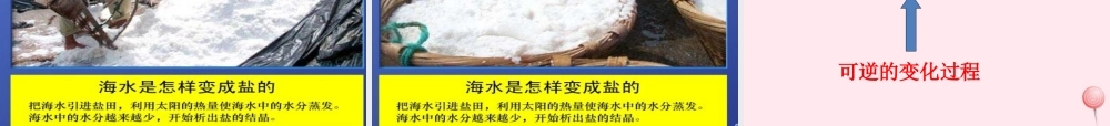 四年级科学下册 5.1《变来变去的盐》课件3 湘教版-湘教版小学四年级下册自然科学课件