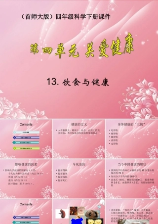 四年级科学下册 饮食与健康 2课件 首师大版