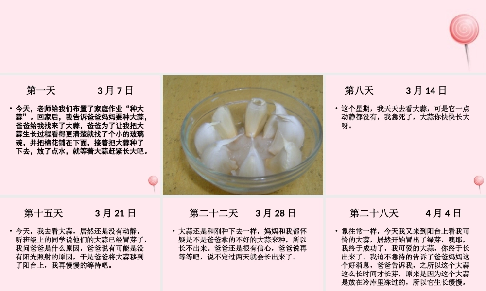 四年级科学下册 植物生长日记课外拓展课件 苏教版-苏教版小学四年级下册自然科学课件
