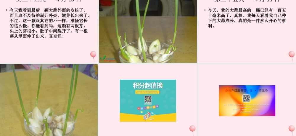 四年级科学下册 植物生长日记课外拓展课件 苏教版-苏教版小学四年级下册自然科学课件