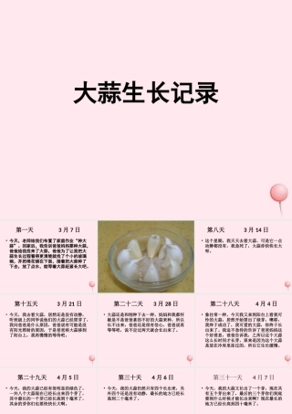 四年级科学下册 植物生长日记课外拓展课件 苏教版-苏教版小学四年级下册自然科学课件