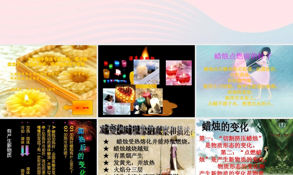 四年级科学下册 5.3《燃烧的蜡烛》课件1 湘教版-湘教版小学四年级下册自然科学课件