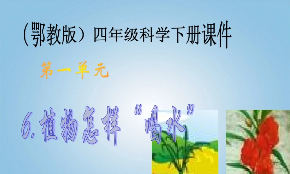 四年级科学下册 植物怎样“喝水”1课件 鄂教版