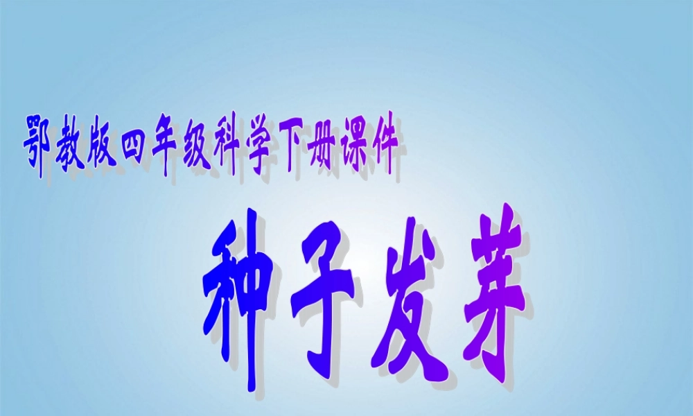 四年级科学下册 种子发芽2课件 鄂教版