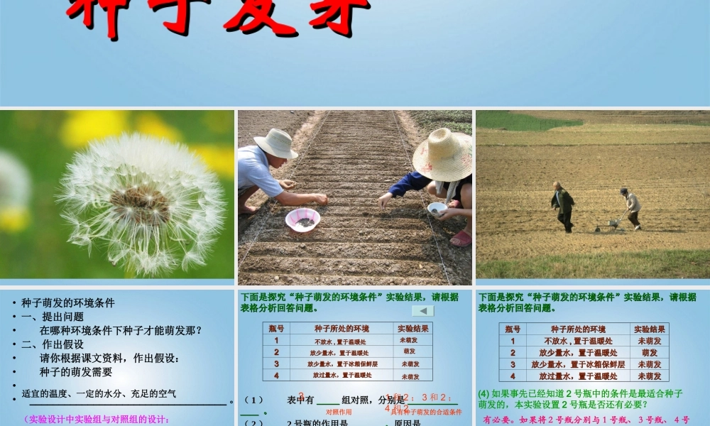 四年级科学下册 种子发芽4课件 鄂教版