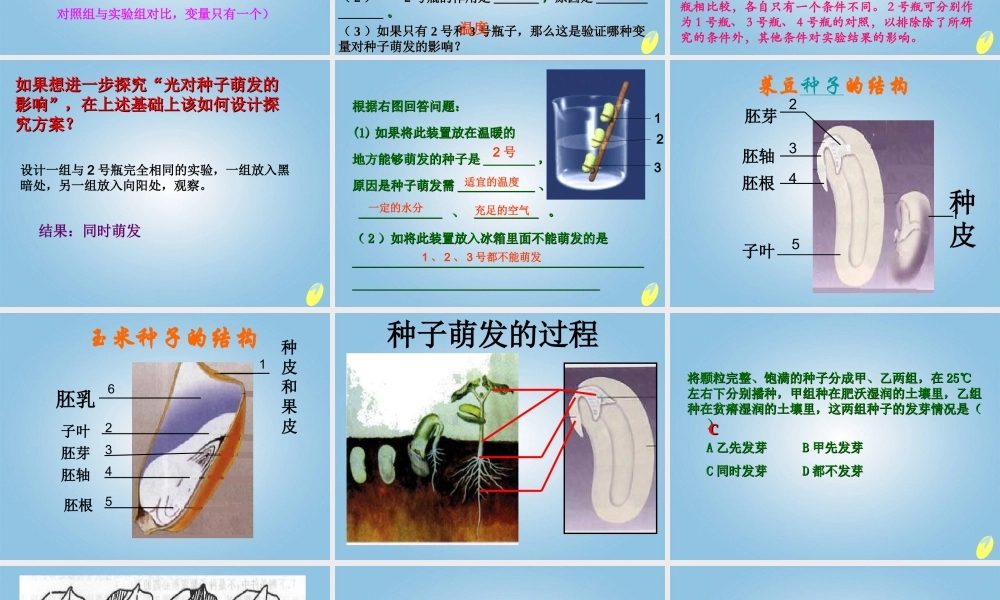 四年级科学下册 种子发芽4课件 鄂教版