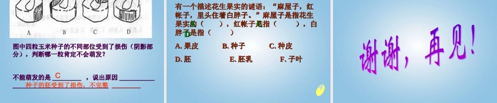 四年级科学下册 种子发芽4课件 鄂教版