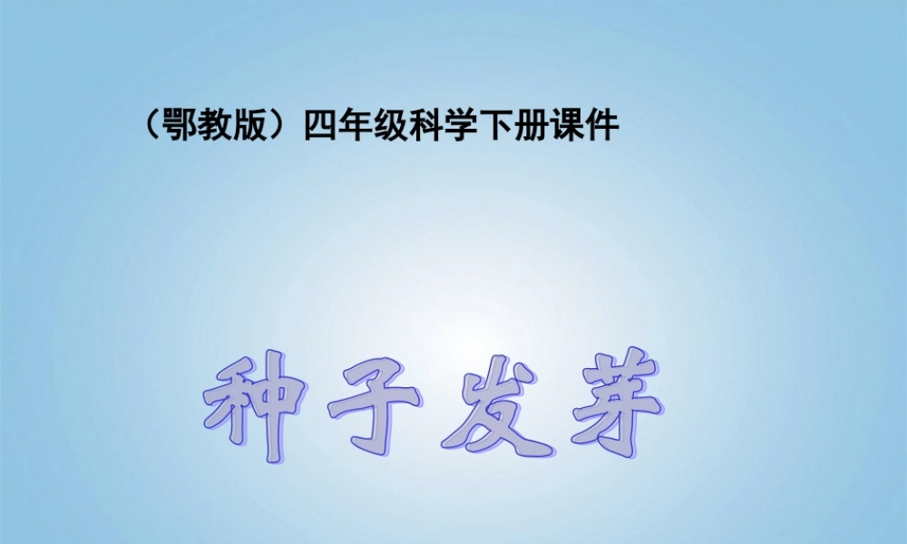 四年级科学下册 种子发芽5课件 鄂教版