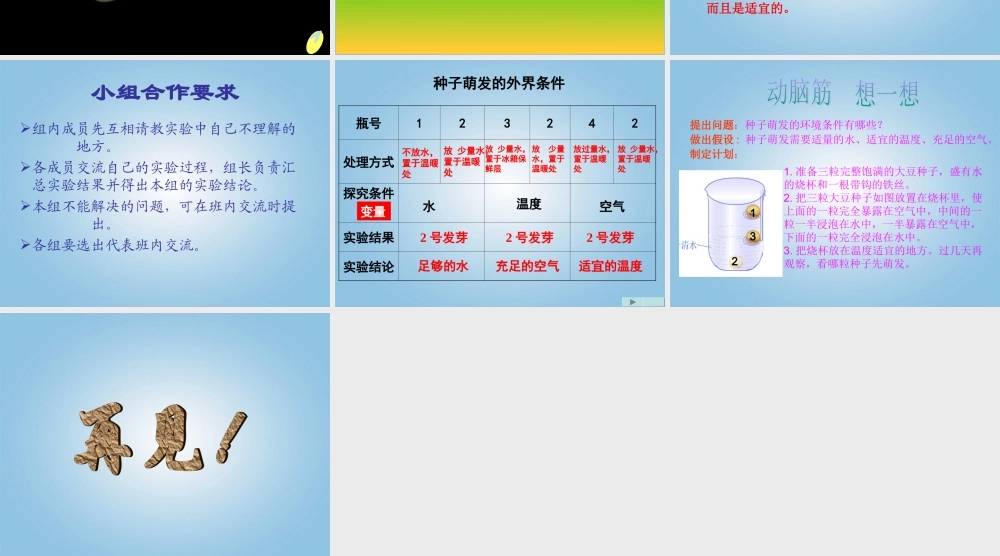 四年级科学下册 种子发芽5课件 鄂教版