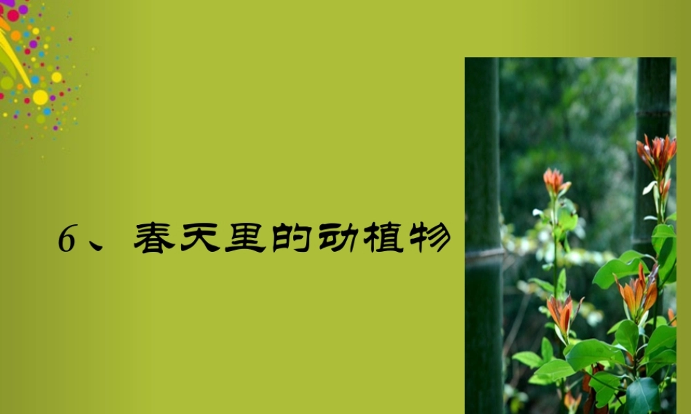 四年级科学下册《春天里的动植物》课件 青岛版