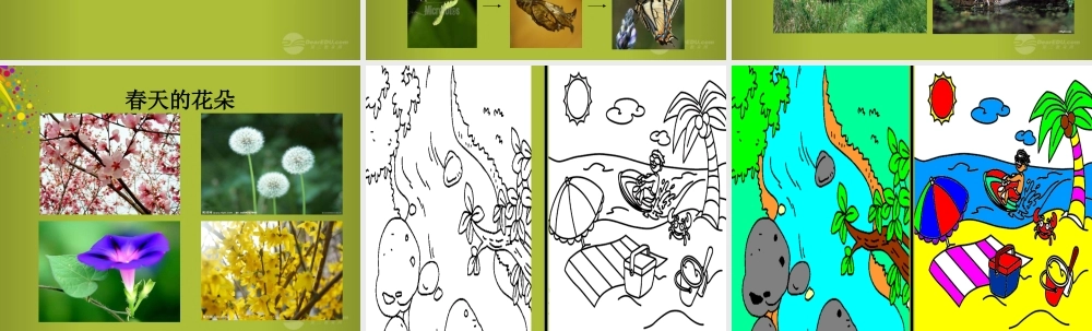 四年级科学下册《春天里的动植物》课件 青岛版