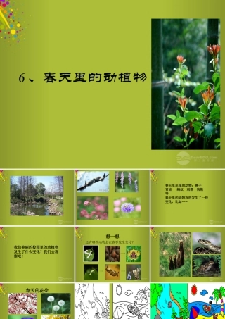 四年级科学下册《春天里的动植物》课件 青岛版
