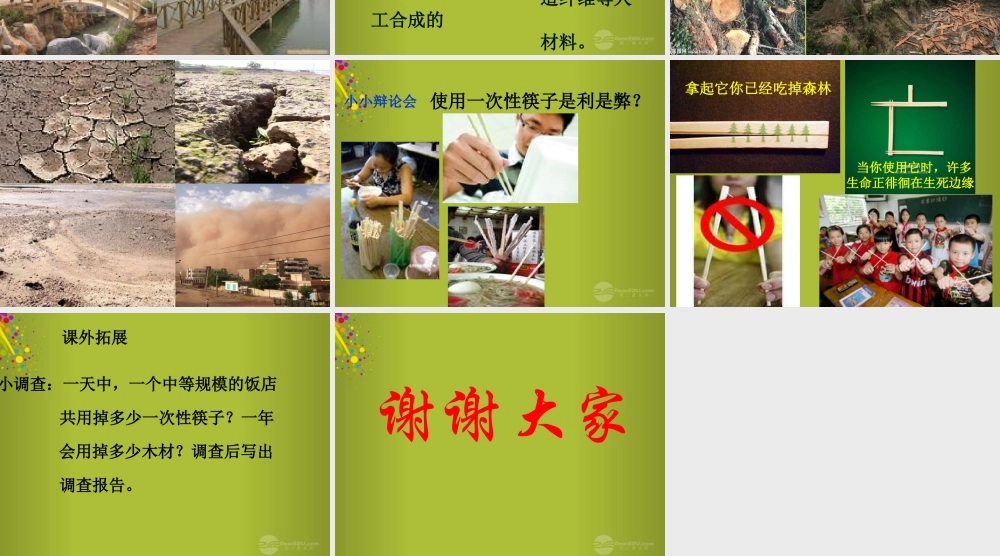 四年级科学下册《木材》课件1 青岛版