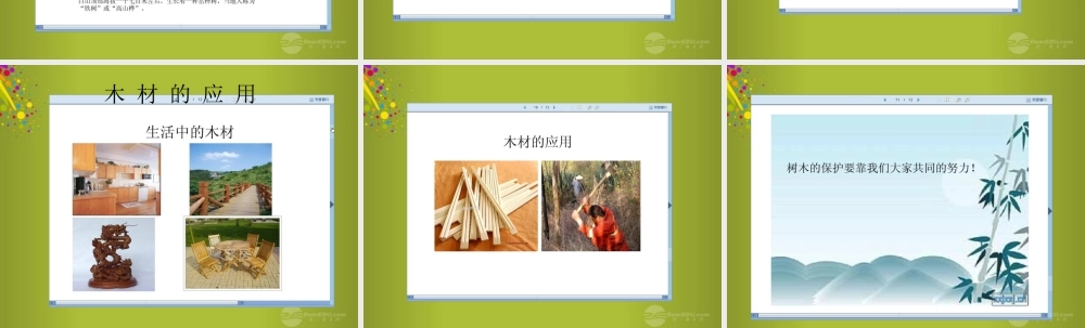 四年级科学下册《木材》课件2 青岛版